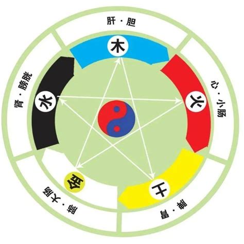 個人五行屬性|五行測試：你屬哪一行？